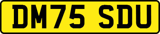 DM75SDU