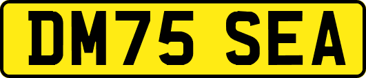 DM75SEA