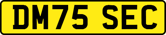 DM75SEC