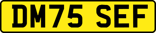 DM75SEF
