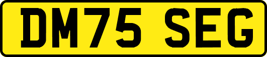 DM75SEG