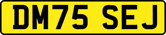DM75SEJ