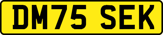 DM75SEK
