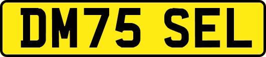 DM75SEL