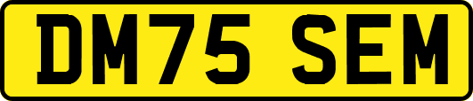DM75SEM