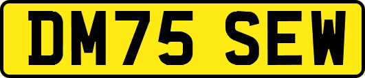DM75SEW