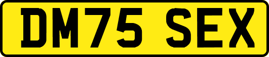 DM75SEX
