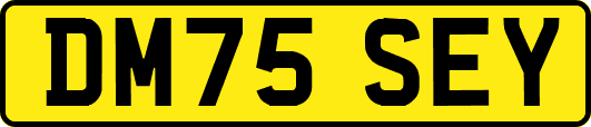 DM75SEY