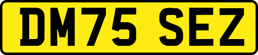 DM75SEZ