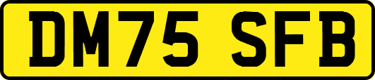 DM75SFB
