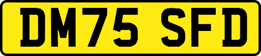 DM75SFD