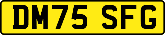 DM75SFG