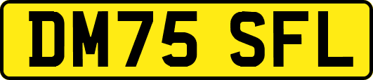 DM75SFL