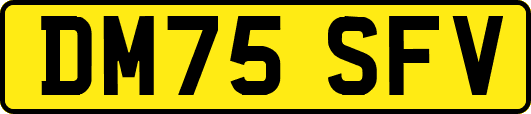 DM75SFV