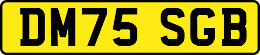 DM75SGB