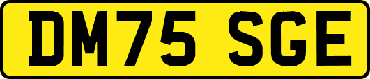 DM75SGE