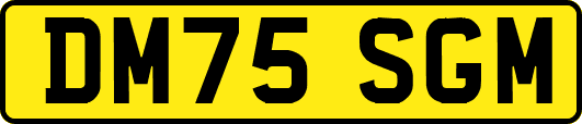 DM75SGM