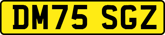 DM75SGZ