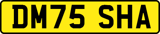 DM75SHA