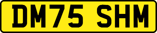 DM75SHM