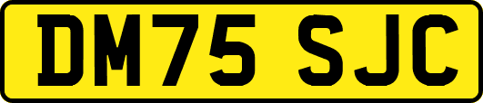 DM75SJC
