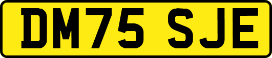 DM75SJE