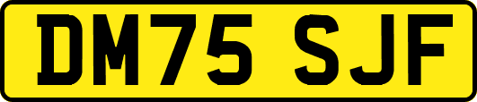 DM75SJF