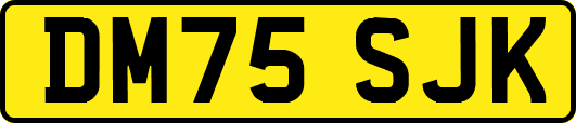 DM75SJK