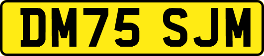 DM75SJM