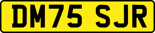 DM75SJR