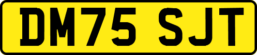 DM75SJT