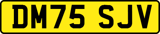 DM75SJV