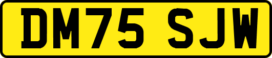 DM75SJW