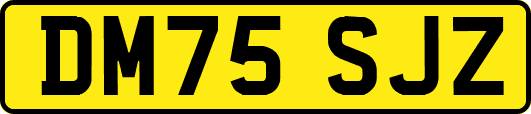 DM75SJZ