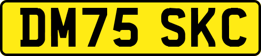 DM75SKC