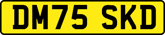 DM75SKD