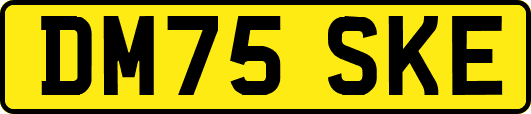 DM75SKE