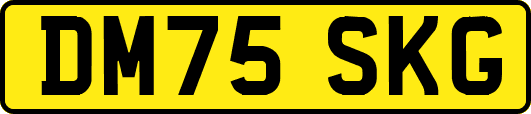 DM75SKG