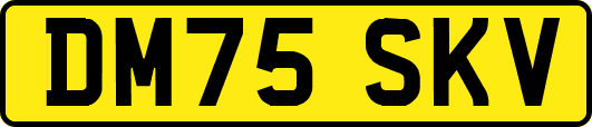 DM75SKV
