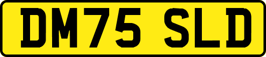 DM75SLD