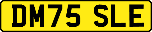 DM75SLE