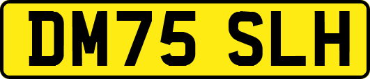 DM75SLH