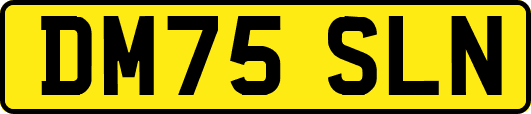 DM75SLN