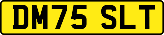 DM75SLT