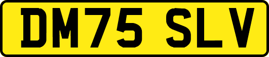 DM75SLV