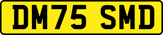 DM75SMD