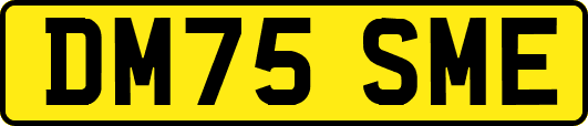 DM75SME