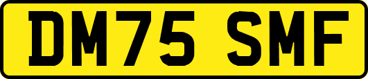 DM75SMF