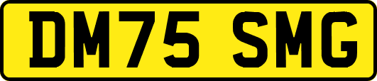 DM75SMG