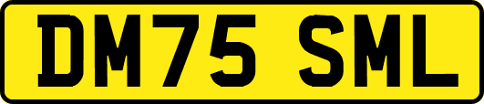 DM75SML